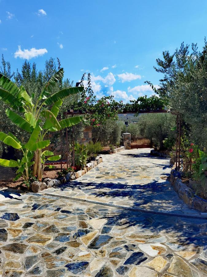Elaion Thea-Nies Sourpi Exterior foto