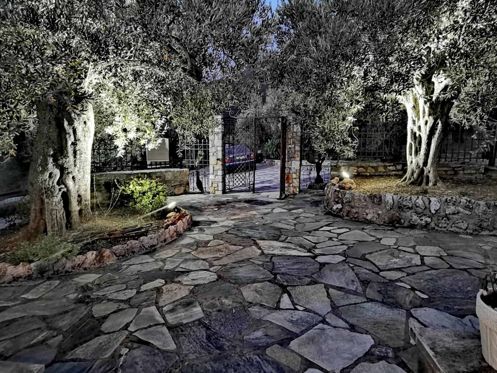 Elaion Thea-Nies Sourpi Exterior foto